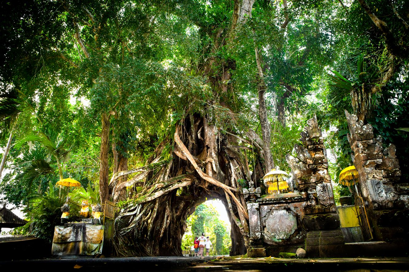 love bali