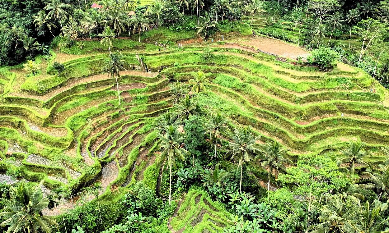 love bali