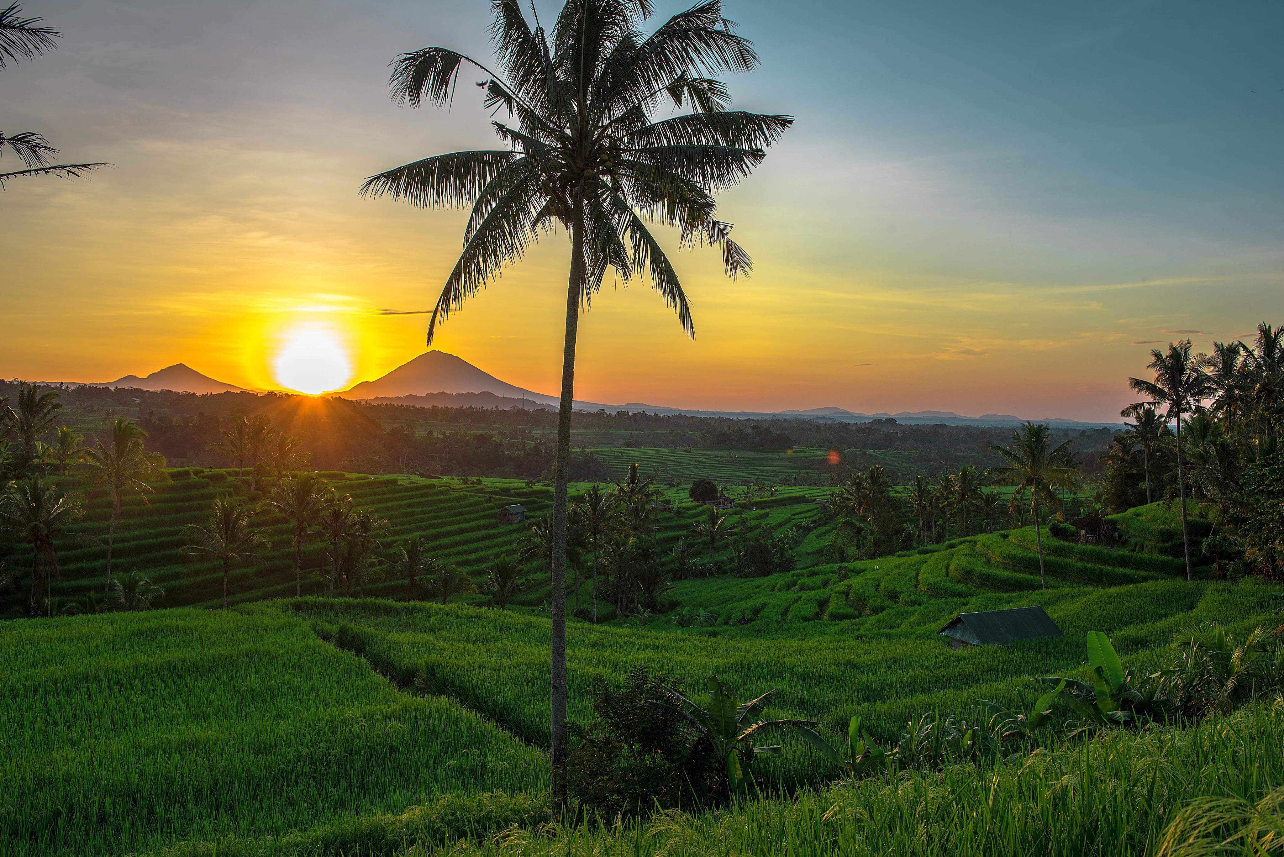 love bali