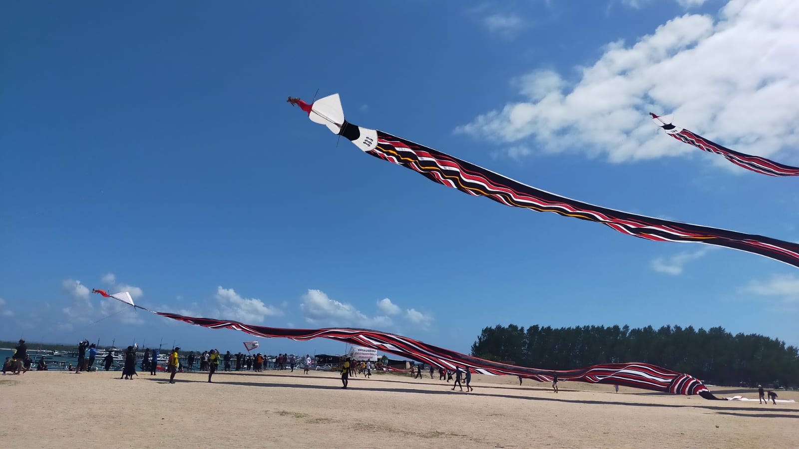 <p>Denpasar Kite Festival 2023</p>
