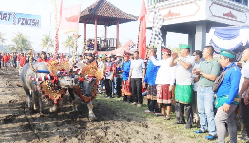 <p>Makepung Bupati Cup 2023</p>