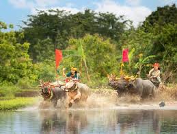 love bali