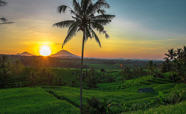 love bali