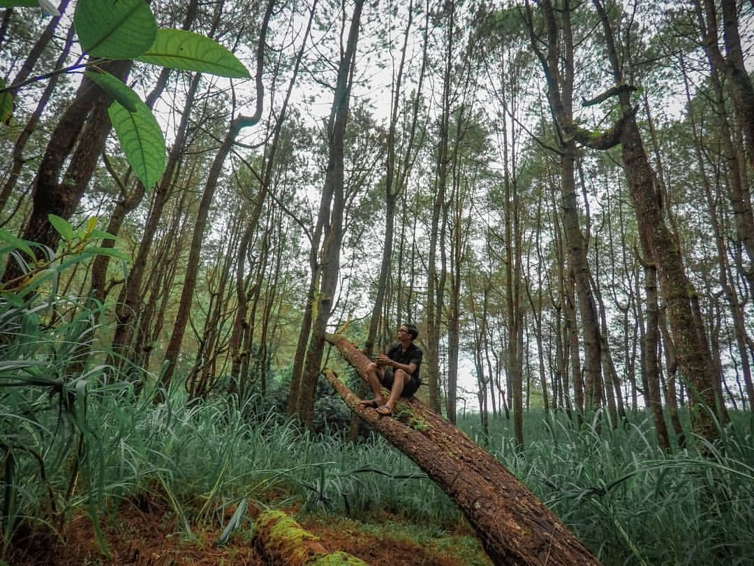 love bali