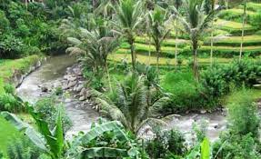 love bali