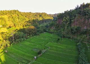 love bali
