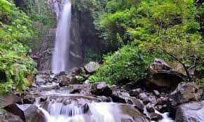 love bali
