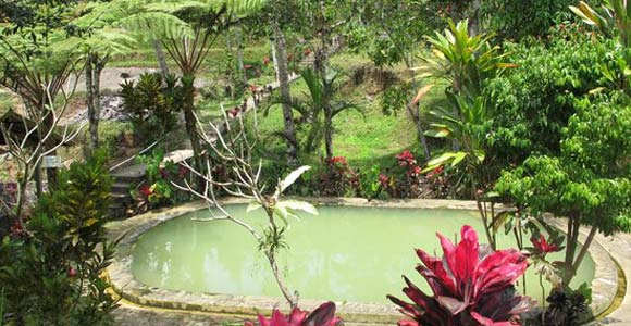love bali