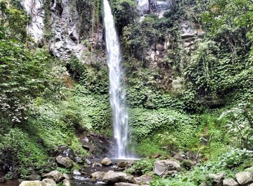 love bali