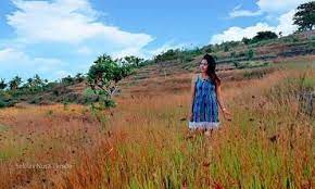 love bali